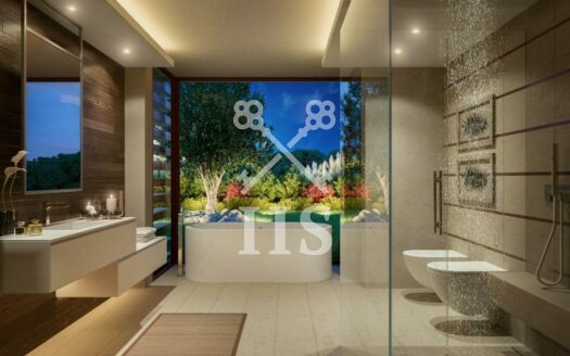 Los Olivos – Uitverkocht