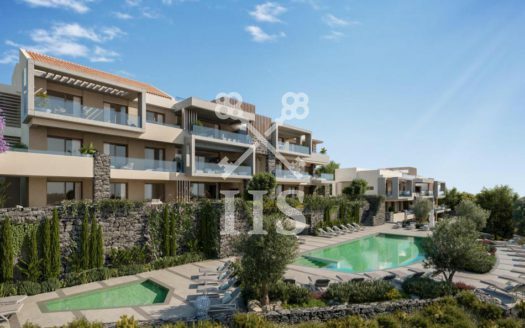 Los Olivos – Uitverkocht