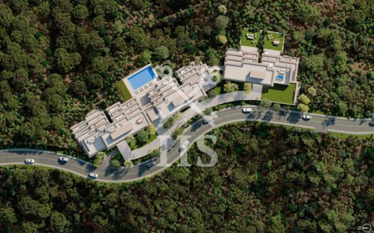 Palmitos – Sold out