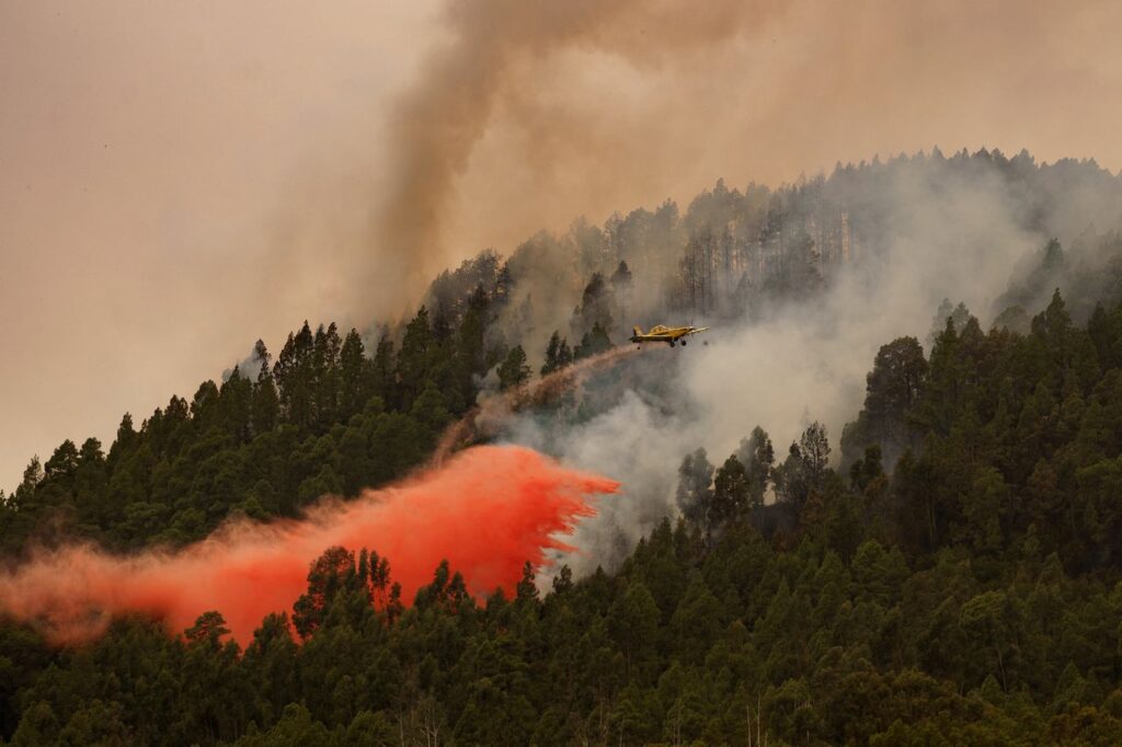 Tenerife forest fire
